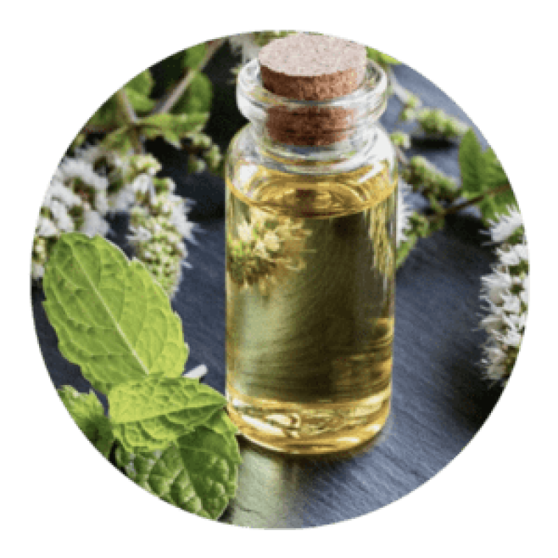 Organic Peppermint Oil from India